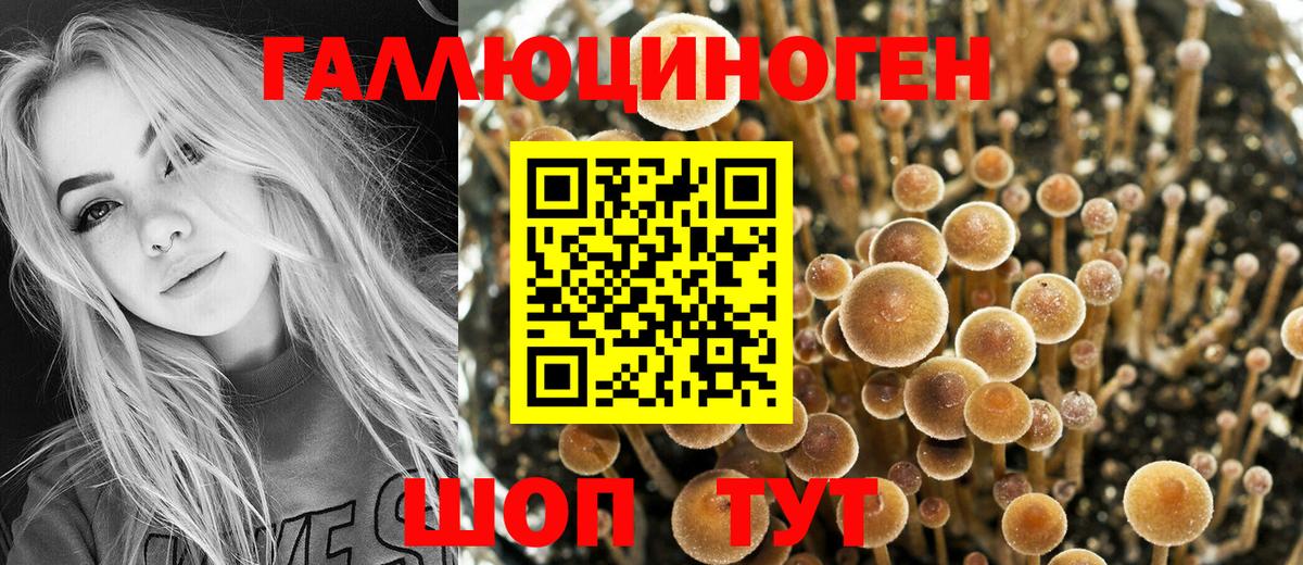 Галлюциногенные грибы мицелий Приморско-Ахтарск