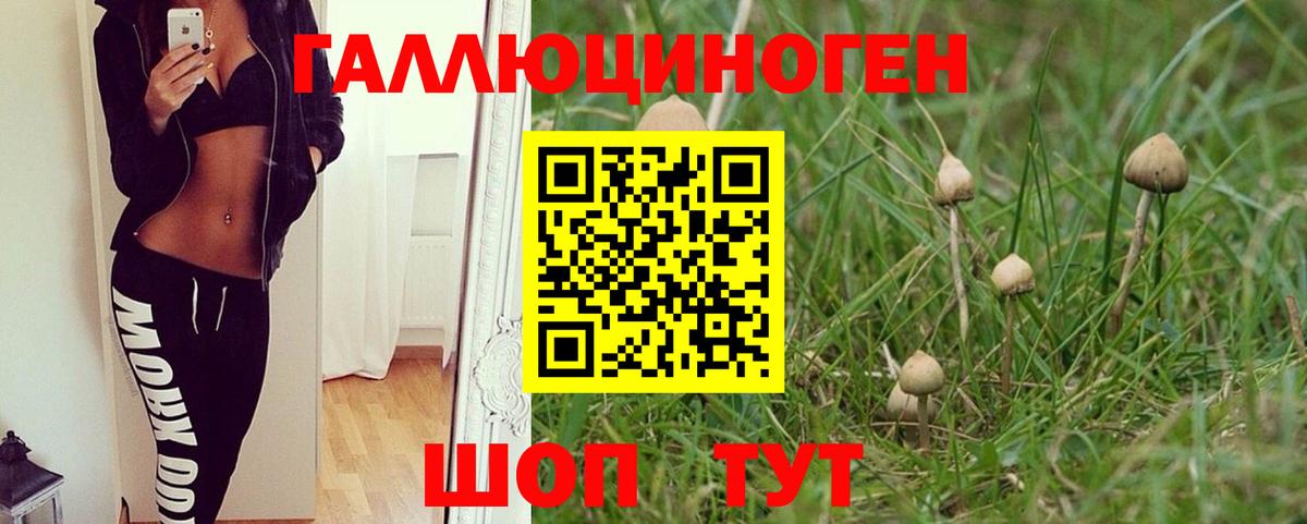 Галлюциногенные грибы MAGIC MUSHROOMS  Вход с VPN  Галлюциногенные грибы MAGIC MUSHROOMS  Приморско-Ахтарск 